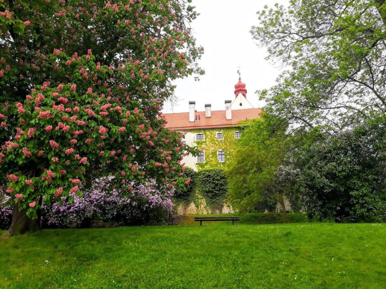 Lev I Sova Aparthotel Mělník Buitenkant foto