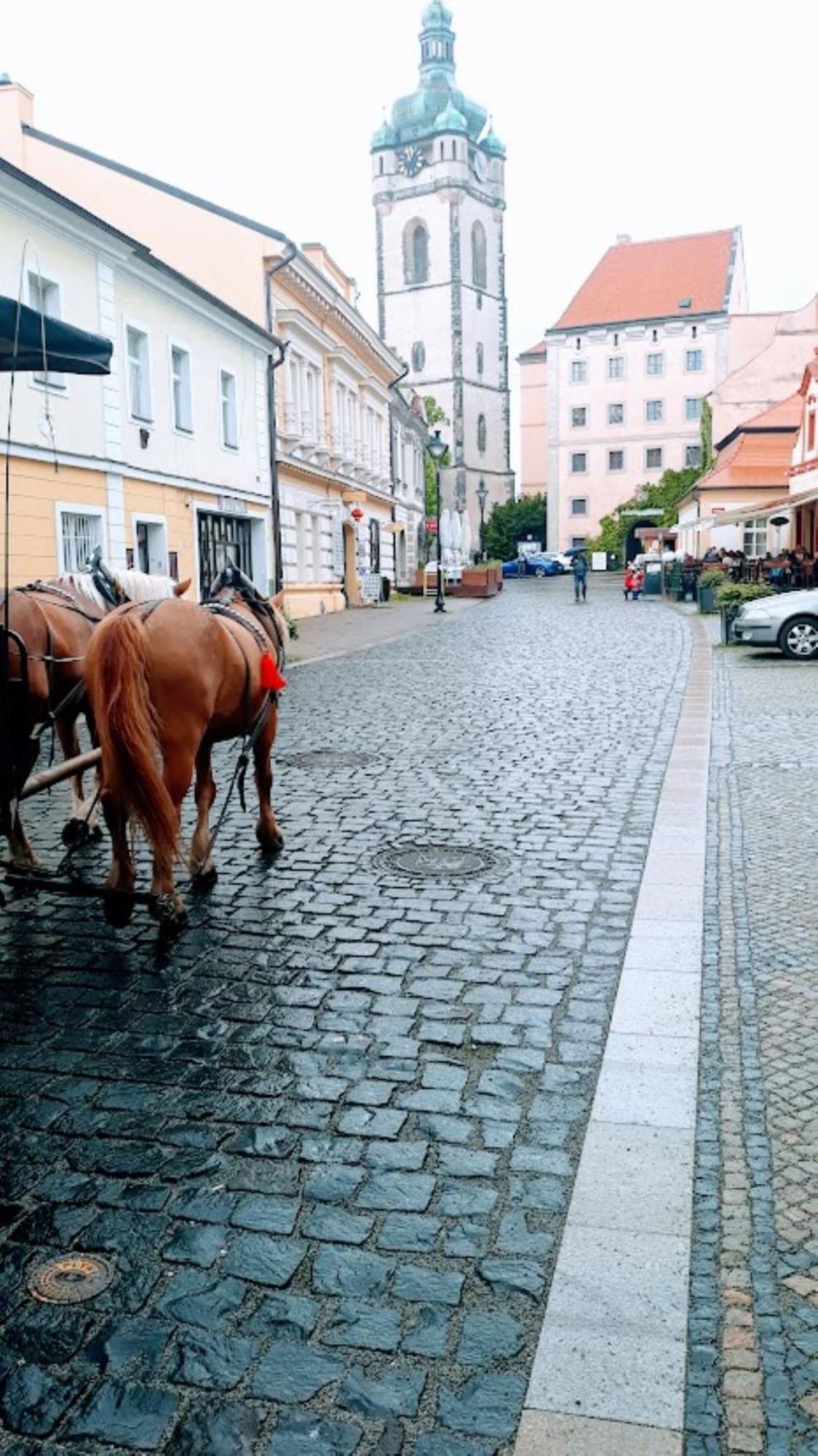 Lev I Sova Aparthotel Mělník Buitenkant foto