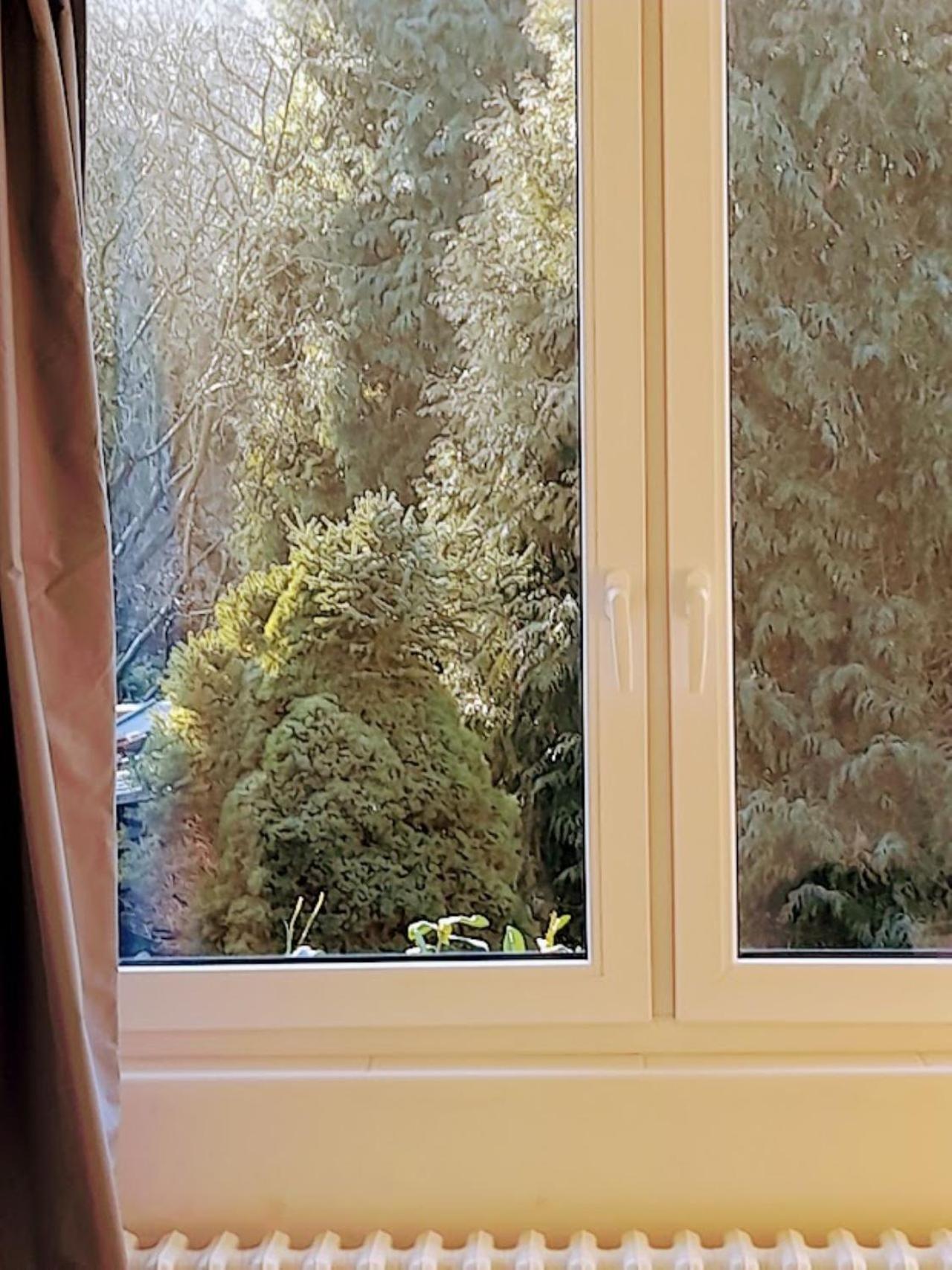 Lev I Sova Aparthotel Mělník Buitenkant foto