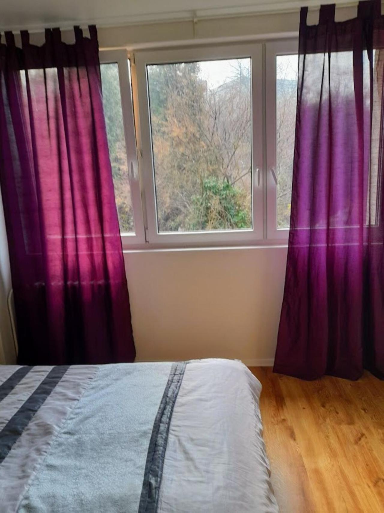 Lev I Sova Aparthotel Mělník Buitenkant foto